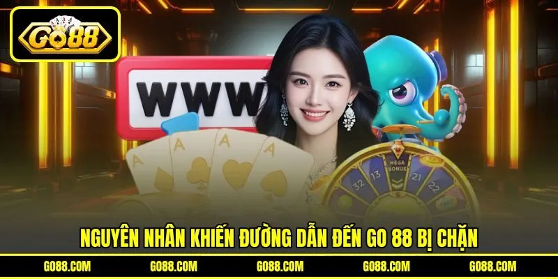 Nguyên nhân khiến đường dẫn đến GO 88 bị chặn